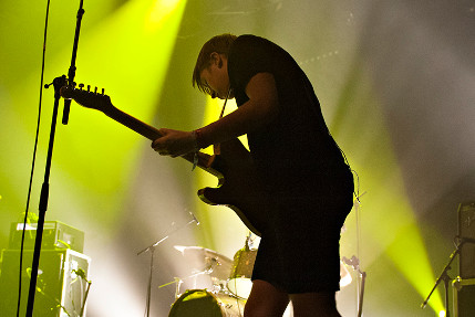 the wombats